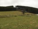 Ruisseaux de Longvilly (1)